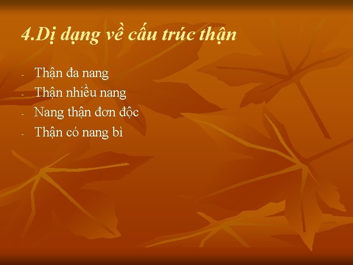 4. Dị dạng về cấu trúc thận - Thận đa nang Thận nhiều nang