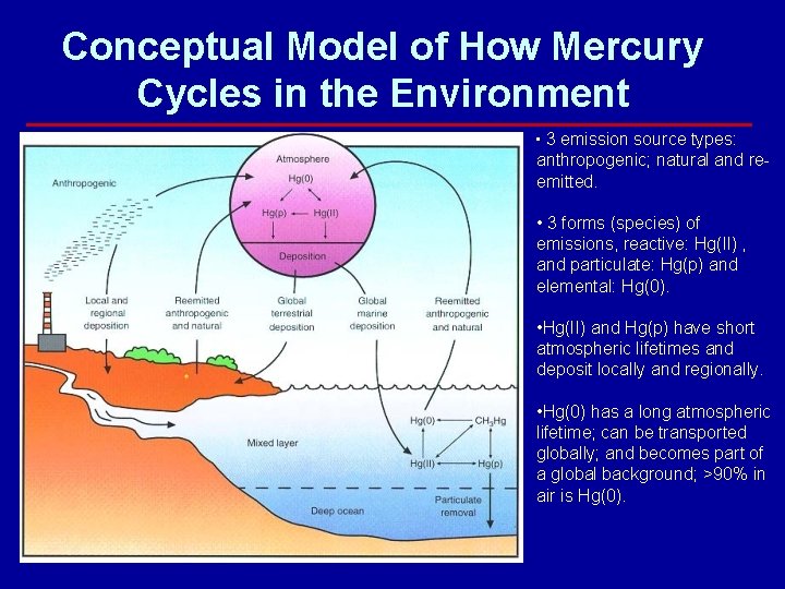 Conceptual Model of How Mercury Cycles in the Environment • 3 emission source types: