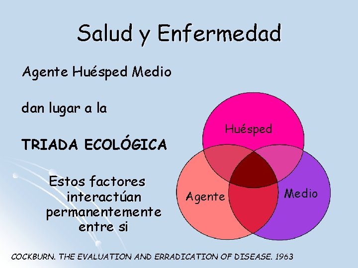 Salud y Enfermedad Agente Huésped Medio dan lugar a la TRIADA ECOLÓGICA Estos factores