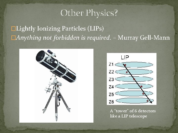 Other Physics? �Lightly Ionizing Particles (LIPs) �Anything not forbidden is required. – Murray Gell-Mann