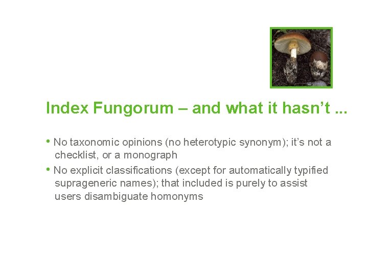 Index Fungorum – and what it hasn’t. . . • No taxonomic opinions (no