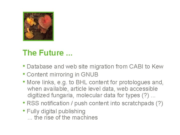 The Future. . . • Database and web site migration from CABI to Kew