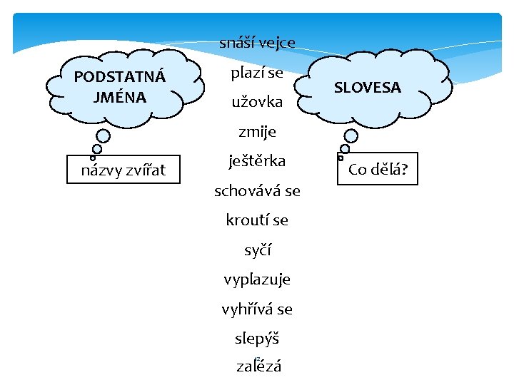 snáší vejce PODSTATNÁ JMÉNA plazí se užovka SLOVESA zmije názvy zvířat ještěrka schovává se