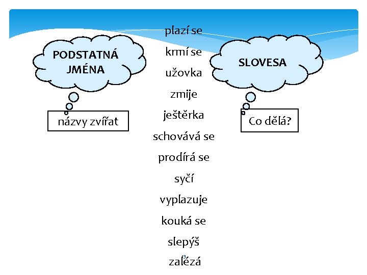 plazí se PODSTATNÁ JMÉNA krmí se užovka SLOVESA zmije názvy zvířat ještěrka schovává se