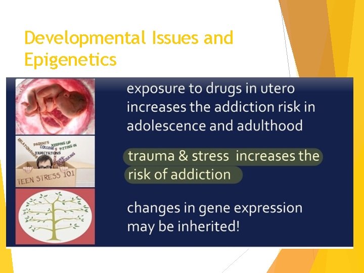 Developmental Issues and Epigenetics 