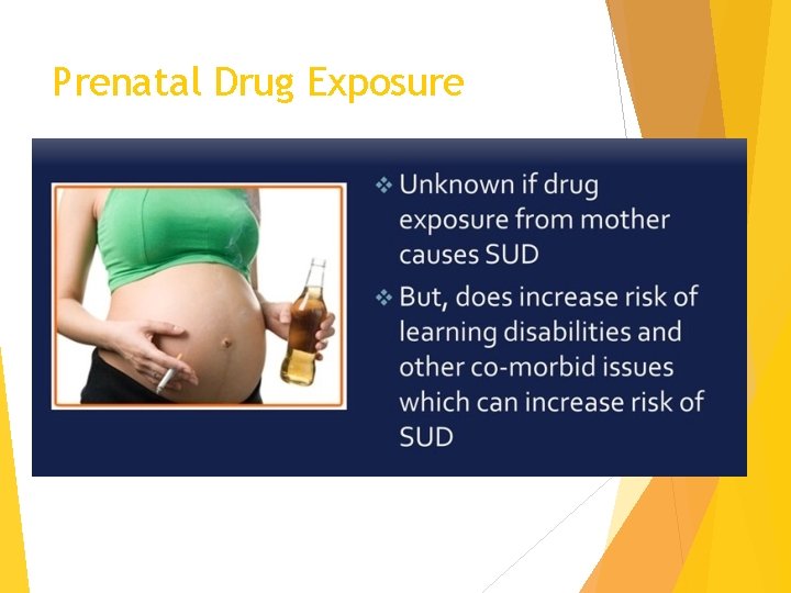 Prenatal Drug Exposure 