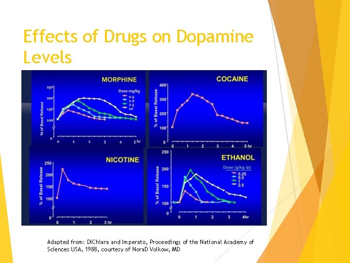 Effects of Drugs on Dopamine Levels Adapted from: Di. Chiara and Imperato, Proceedings of