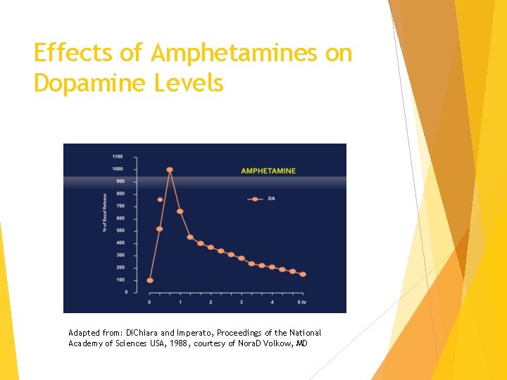 Effects of Amphetamines on Dopamine Levels Adapted from: Di. Chiara and Imperato, Proceedings of