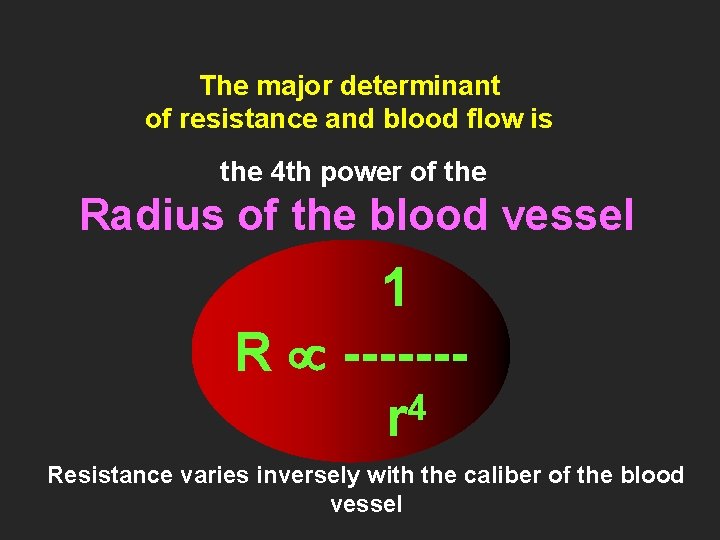 The major determinant of resistance and blood flow is the 4 th power of