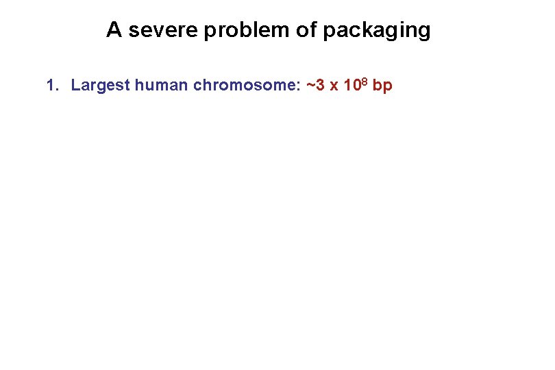 A severe problem of packaging 1. Largest human chromosome: ~3 x 108 bp 