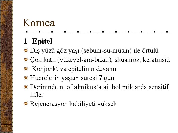 Kornea 1 - Epitel Dış yüzü göz yaşı (sebum-su-müsin) ile örtülü Çok katlı (yüzeyel-ara-bazal),