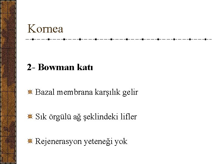 Kornea 2 - Bowman katı Bazal membrana karşılık gelir Sık örgülü ağ şeklindeki lifler