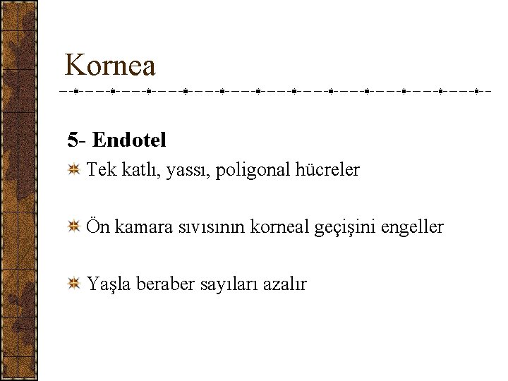 Kornea 5 - Endotel Tek katlı, yassı, poligonal hücreler Ön kamara sıvısının korneal geçişini