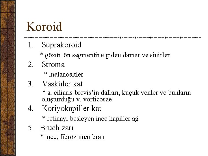 Koroid 1. Suprakoroid * gözün ön segmentine giden damar ve sinirler 2. Stroma *