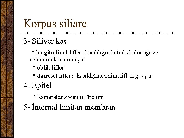 Korpus siliare 3 - Siliyer kas * longitudinal lifler: kasıldığında trabeküler ağı ve schlemm