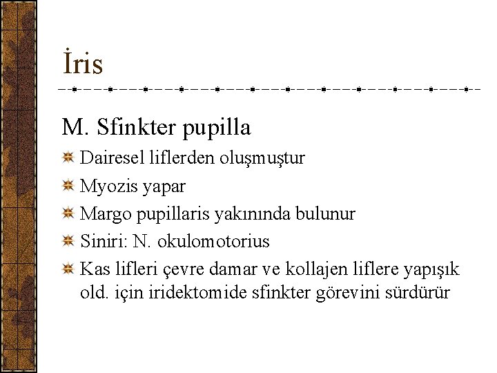 İris M. Sfinkter pupilla Dairesel liflerden oluşmuştur Myozis yapar Margo pupillaris yakınında bulunur Siniri: