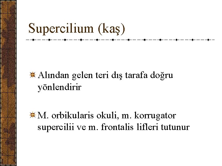 Supercilium (kaş) Alından gelen teri dış tarafa doğru yönlendirir M. orbikularis okuli, m. korrugator