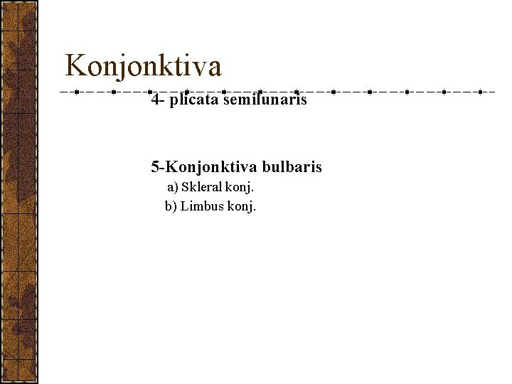 Konjonktiva 4 - plicata semilunaris 5 -Konjonktiva bulbaris a) Skleral konj. b) Limbus konj.