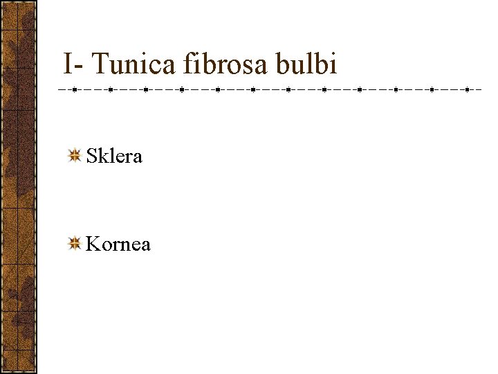 I- Tunica fibrosa bulbi Sklera Kornea 