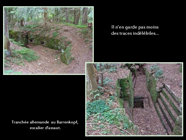 Il n’en garde pas moins des traces indélébiles… Tranchée allemande au Barrenkopf, escalier d'assaut.