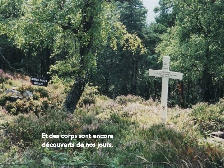 Et des corps sont encore découverts de nos jours. 