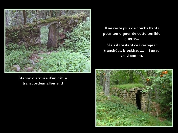 Il ne reste plus de combattants pour témoigner de cette terrible guerre… Mais ils