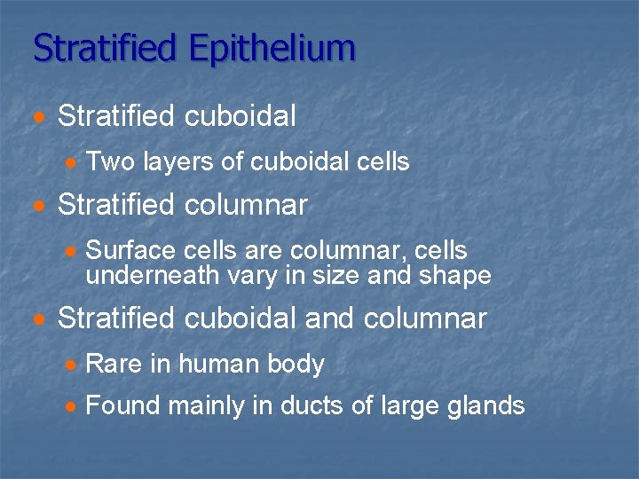 Stratified Epithelium · Stratified cuboidal · Two layers of cuboidal cells · Stratified columnar