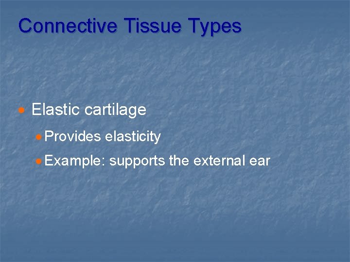 Connective Tissue Types · Elastic cartilage · Provides elasticity · Example: supports the external