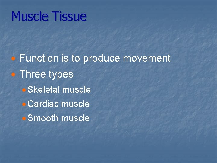 Muscle Tissue · Function is to produce movement · Three types · Skeletal muscle