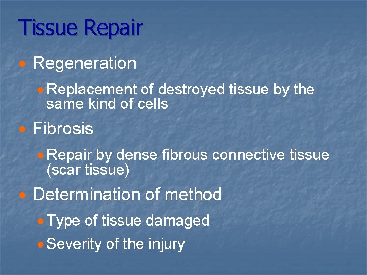 Tissue Repair · Regeneration · Replacement of destroyed tissue by the same kind of