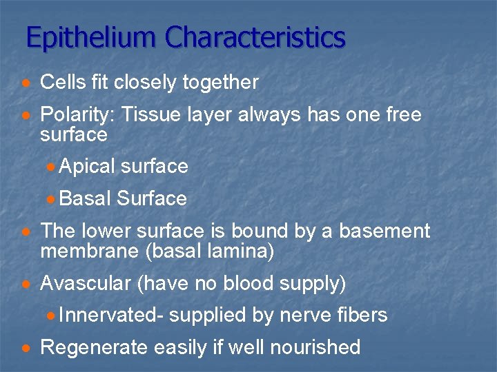Epithelium Characteristics · Cells fit closely together · Polarity: Tissue layer always has one