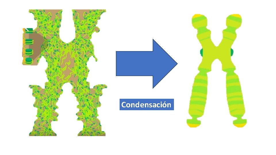 Condensación 