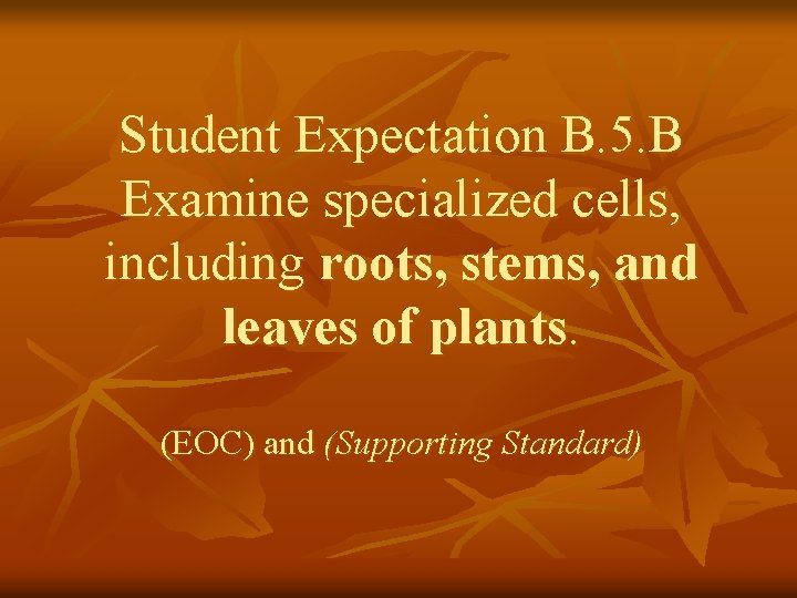 Student Expectation B. 5. B Examine specialized cells, including roots, stems, and leaves of
