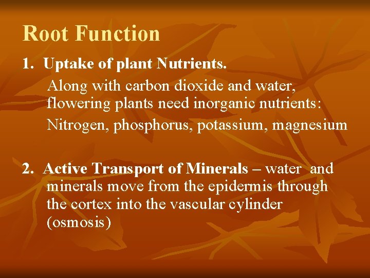 Root Function 1. Uptake of plant Nutrients. Along with carbon dioxide and water, flowering