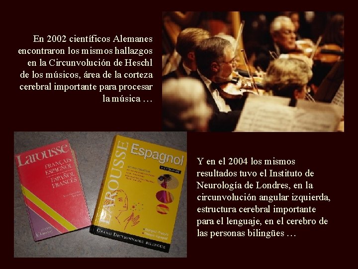 En 2002 científicos Alemanes encontraron los mismos hallazgos en la Circunvolución de Heschl de
