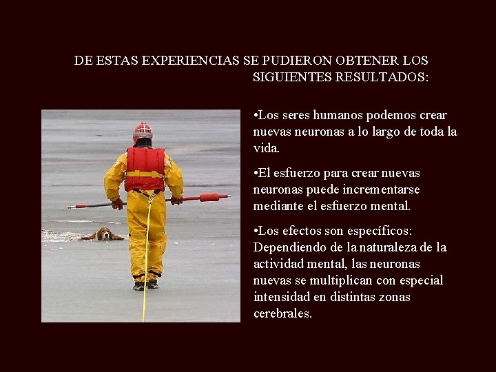 DE ESTAS EXPERIENCIAS SE PUDIERON OBTENER LOS SIGUIENTES RESULTADOS: • Los seres humanos podemos