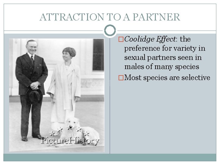 ATTRACTION TO A PARTNER �Coolidge Effect: the preference for variety in sexual partners seen