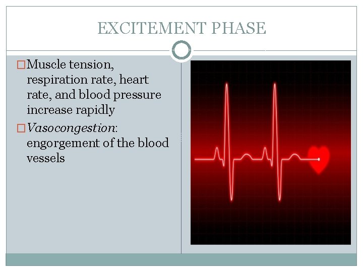 EXCITEMENT PHASE �Muscle tension, respiration rate, heart rate, and blood pressure increase rapidly �Vasocongestion: