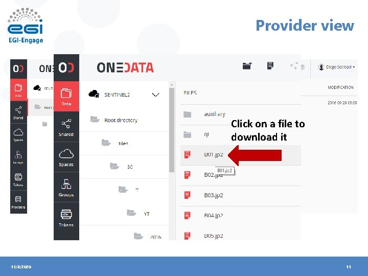 Provider view Go through the folders Click on a file to download it 11/4/2020