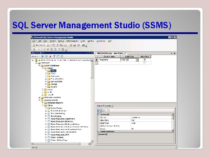 SQL Server Management Studio (SSMS) 