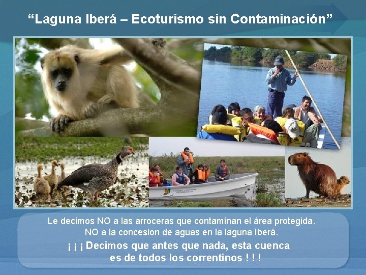 “Laguna Iberá – Ecoturismo sin Contaminación” Le decimos NO a las arroceras que contaminan