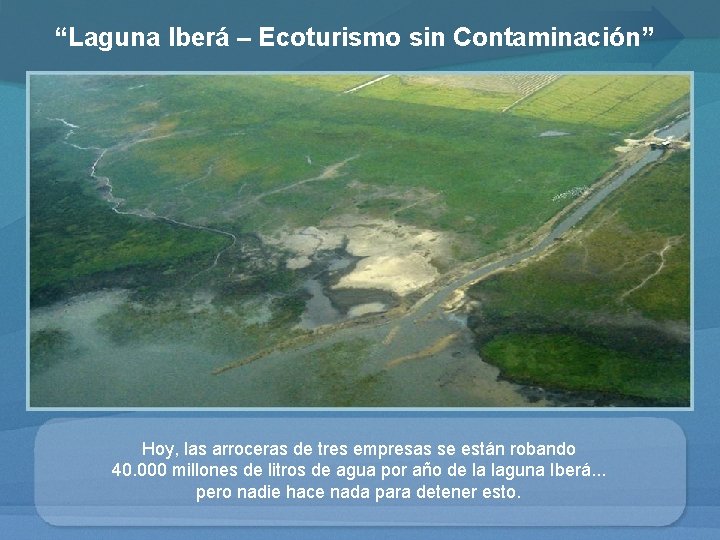 “Laguna Iberá – Ecoturismo sin Contaminación” Hoy, las arroceras de tres empresas se están