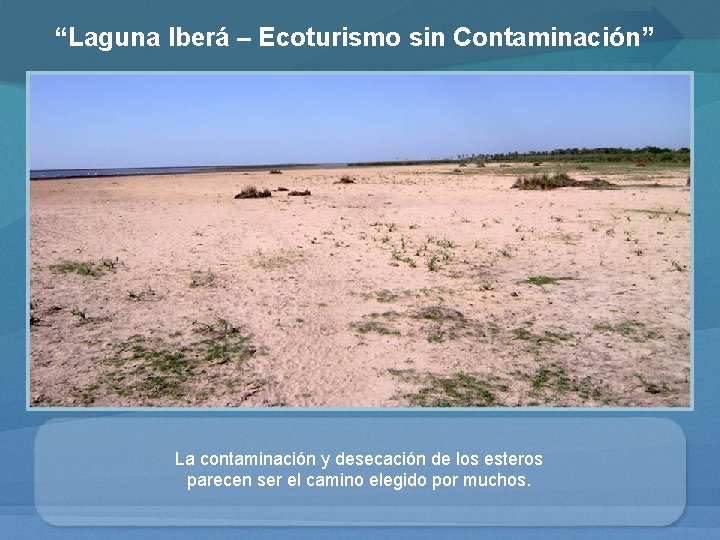 “Laguna Iberá – Ecoturismo sin Contaminación” La contaminación y desecación de los esteros parecen