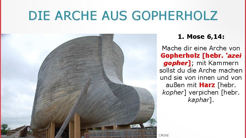 DIE ARCHE AUS GOPHERHOLZ 1. Mose 6, 14: Mache dir eine Arche von Gopherholz