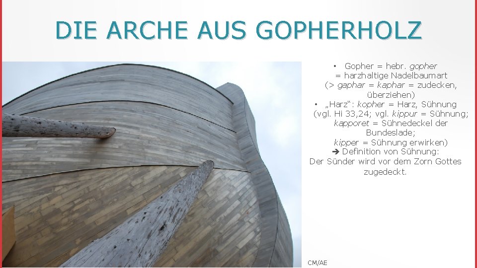 DIE ARCHE AUS GOPHERHOLZ • Gopher = hebr. gopher = harzhaltige Nadelbaumart (> gaphar
