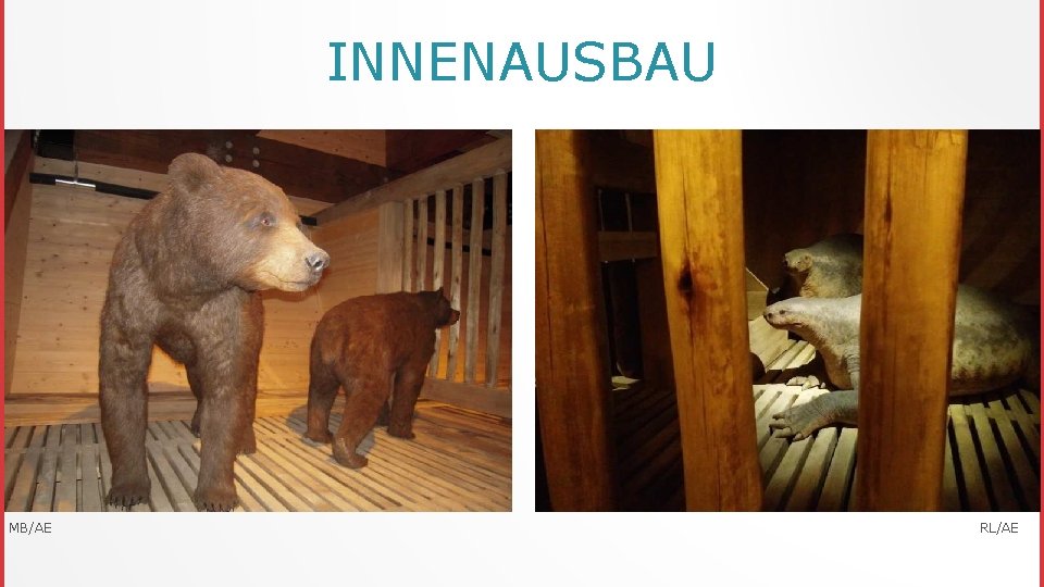 INNENAUSBAU MB/AE RL/AE 