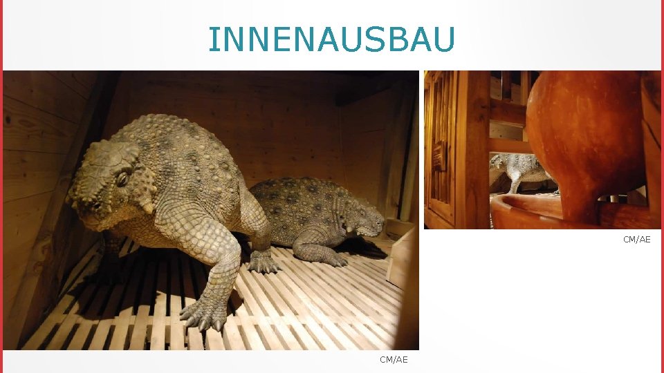 INNENAUSBAU CM/AE 