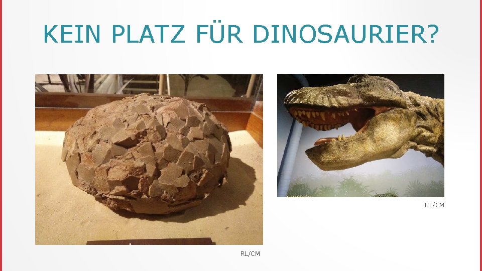 KEIN PLATZ FÜR DINOSAURIER? RL/CM 