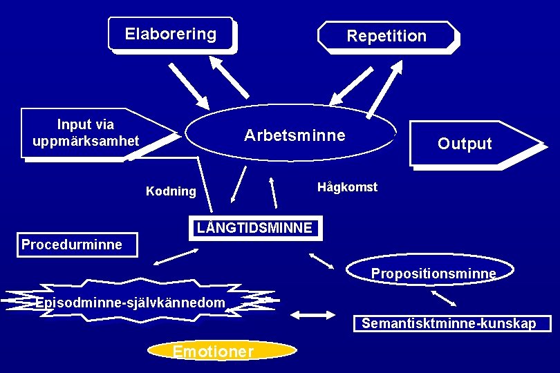 Elaborering Input via uppmärksamhet Repetition Arbetsminne Output Hågkomst Kodning LÅNGTIDSMINNE Procedurminne Propositionsminne Episodminne-självkännedom Semantisktminne-kunskap