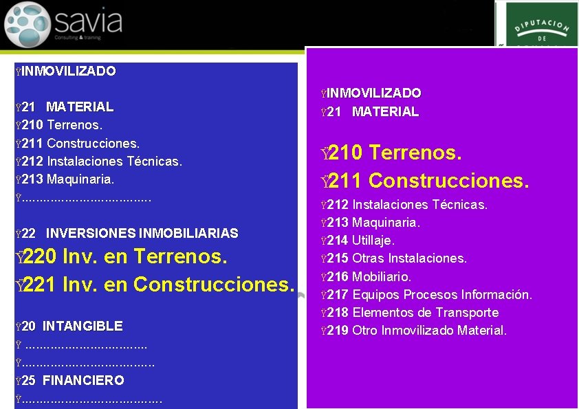 ŸINMOVILIZADO Ÿ 21 MATERIAL Ÿ 210 Terrenos. Ÿ 211 Construcciones. Ÿ 212 Instalaciones Técnicas.